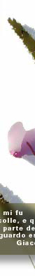 Blume